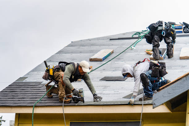 Professional Gutter Installation technician working in Medina, MN